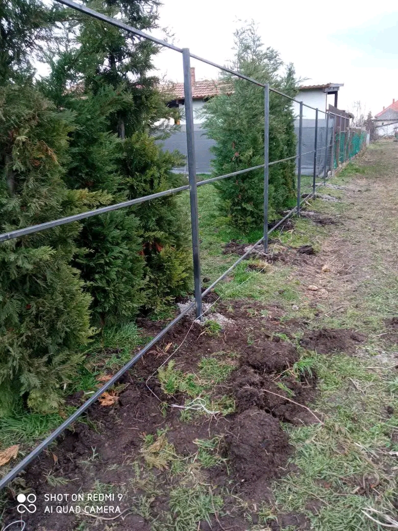 Kerítésváz, tuják között, Nagykőrös